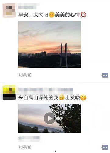 晨光最新爆料视频,揭秘神秘项目背后的惊人真相