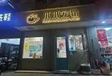 温州宠物店爆料视频最新,揭秘宠物行业黑幕